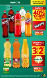 Gazetka promocyjna Lidl - GAZETKA - Gazetka - ważna od 16.09 do 16.09.2023 - strona 29 - produkty: Napoje, Wazon, Olej, Nektar