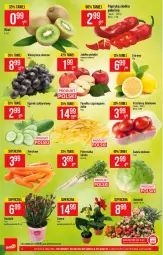 Gazetka promocyjna PoloMarket - Gazetka pomocyjna - Gazetka - ważna od 06.07 do 06.07.2021 - strona 6 - produkty: Papryka słodka, Pietruszka, Sałata lodowa, Papryka, Ogórek, Cytryny, Kiwi, Sałat, Wino, Pomidory, Fa