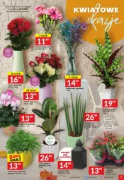 Gazetka promocyjna Twoj Market - Gazetka - ważna od 14.11 do 14.11.2023 - strona 30 - produkty: Latarnia, Róża, Wazon, Bukiet