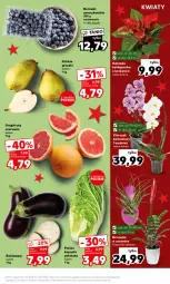 Gazetka promocyjna Kaufland - Mocny Start - Gazetka - ważna od 13.12 do 13.12.2023 - strona 11 - produkty: Gruszki, Moda, Grejpfrut