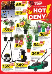 Gazetka promocyjna Bricomarche - Gazetka - ważna od 24.05 do 24.05.2025 - strona 5 - produkty: Odkurzacz, Top, Sok, Róża, Kosz, Girlanda, Bukiet, Odkurzacz warsztatowy, Kosiarka, Miska