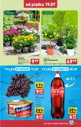 Gazetka promocyjna Aldi - Pełna oferta - Gazetka - ważna od 20.07 do 20.07.2024 - strona 23 - produkty: Krakus, Sok, Ser, Coca-Cola, Winogrona, Wino