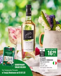 Gazetka promocyjna Biedronka - Czas na toast - Gazetka - ważna od 23.07 do 23.07.2022 - strona 2 - produkty: Ser, Gorgonzola, , Wino, Pinot Grigio
