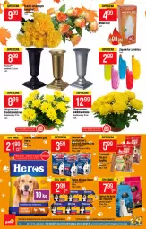 Gazetka promocyjna PoloMarket - Gazetka pomocyjna - Gazetka - ważna od 26.10 do 26.10.2021 - strona 54 - produkty: Sok, Chryzantema, Pasztet, Zapalarka, Butcher's