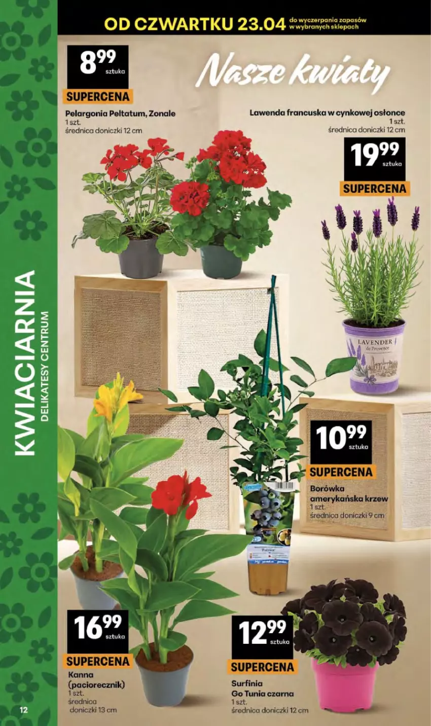 Gazetka promocyjna Delikatesy Centrum - Franczyza DC17 Czwartek - ważna 23.04 do 29.04.2026 - strona 12 - produkty: Cynk, Surf