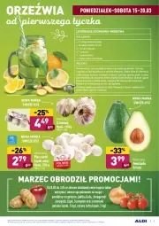 Gazetka promocyjna Aldi - ALE! CENA w ALDI - Gazetka - ważna od 27.03 do 27.03.2021 - strona 3 - produkty: Piec, Jonagold, Warzywa, Lemoniada, Cukier, Ogórek, Czosnek, Warzywa i owoce, Kawa, Ziemniaki, Plasterki, Wałek, Szampion, Sitko, Miód, Owoce, Gala, Napój, Pomidory, Ligol, Jabłka, Imbir