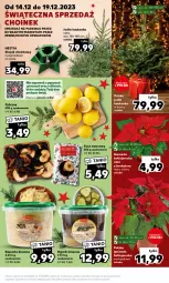 Gazetka promocyjna Kaufland - Mocny Start - Gazetka - ważna od 19.12 do 19.12.2023 - strona 11 - produkty: Stojak, Cytryny, Kask, Pojemnik