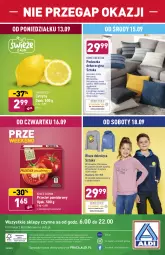 Gazetka promocyjna Aldi - SUPER SMACZNE OKAZJE - Gazetka - ważna od 18.09 do 18.09.2021 - strona 26 - produkty: Gra, Cytryny, Poduszka dekoracyjna, Poszewka, Wełna, Dzieci, King’s Crown, Bluza, Poduszka, Fa