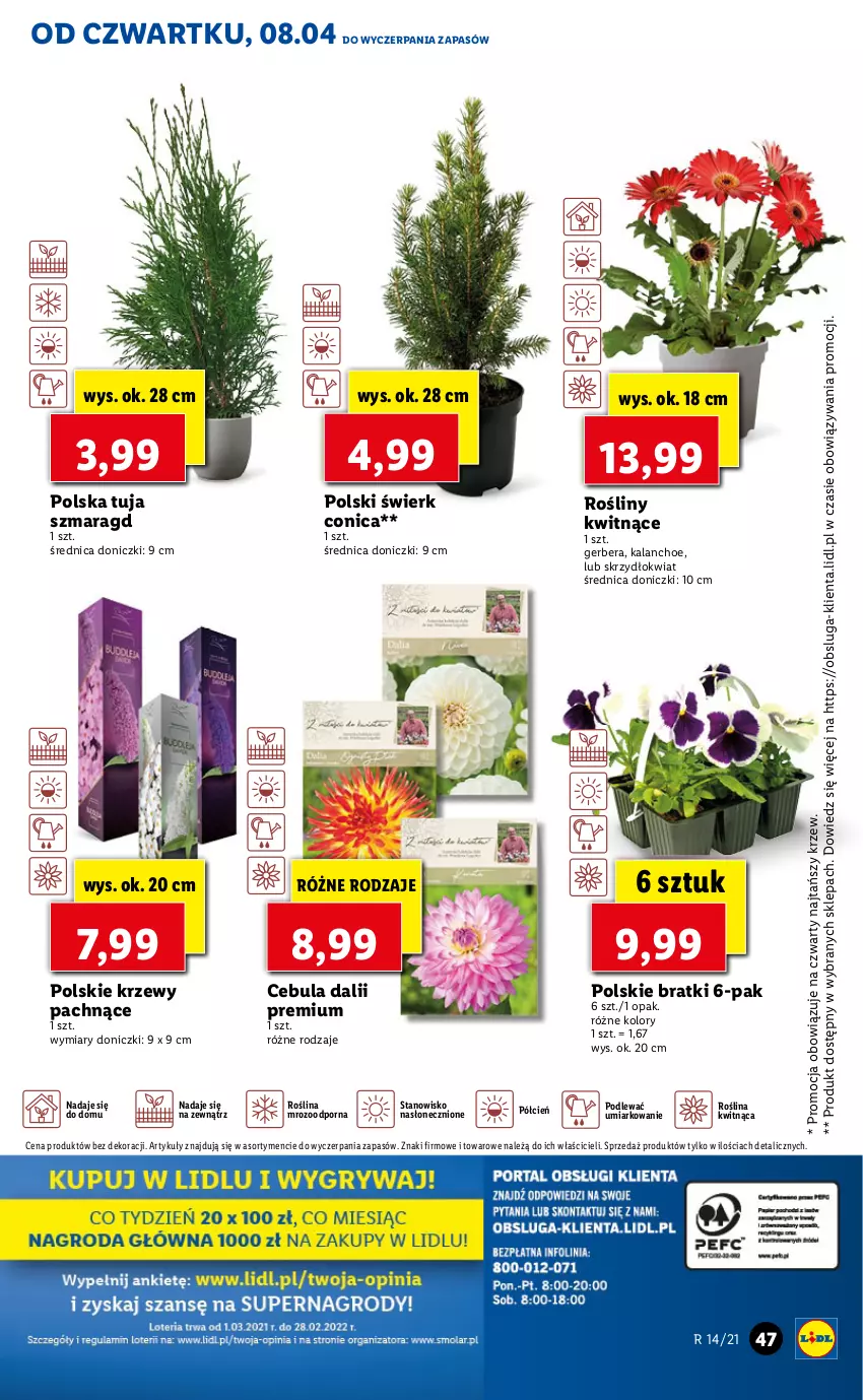 Gazetka promocyjna Lidl - GAZETKA - ważna 08.04 do 10.04.2021 - strona 47 - produkty: Cebula, Cień, Gerber, Kalanchoe, O nas, Por