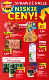 Gazetka promocyjna Lidl - GAZETKA - Gazetka - ważna od 10.04 do 10.04.2021 - strona 48 - produkty: Piwa, Mięso mielone, NBA, Gra, Mleko bez laktozy, Ziemniaki, Siatka, Lody, Szampion, Pilos, Gala, Mięso, Jabłka, Mleko