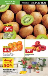 Gazetka promocyjna Biedronka - Od Poniedziałku - Gazetka - ważna od 29.03 do 29.03.2025 - strona 21 - produkty: Wazon, Nektarynka, Nektar