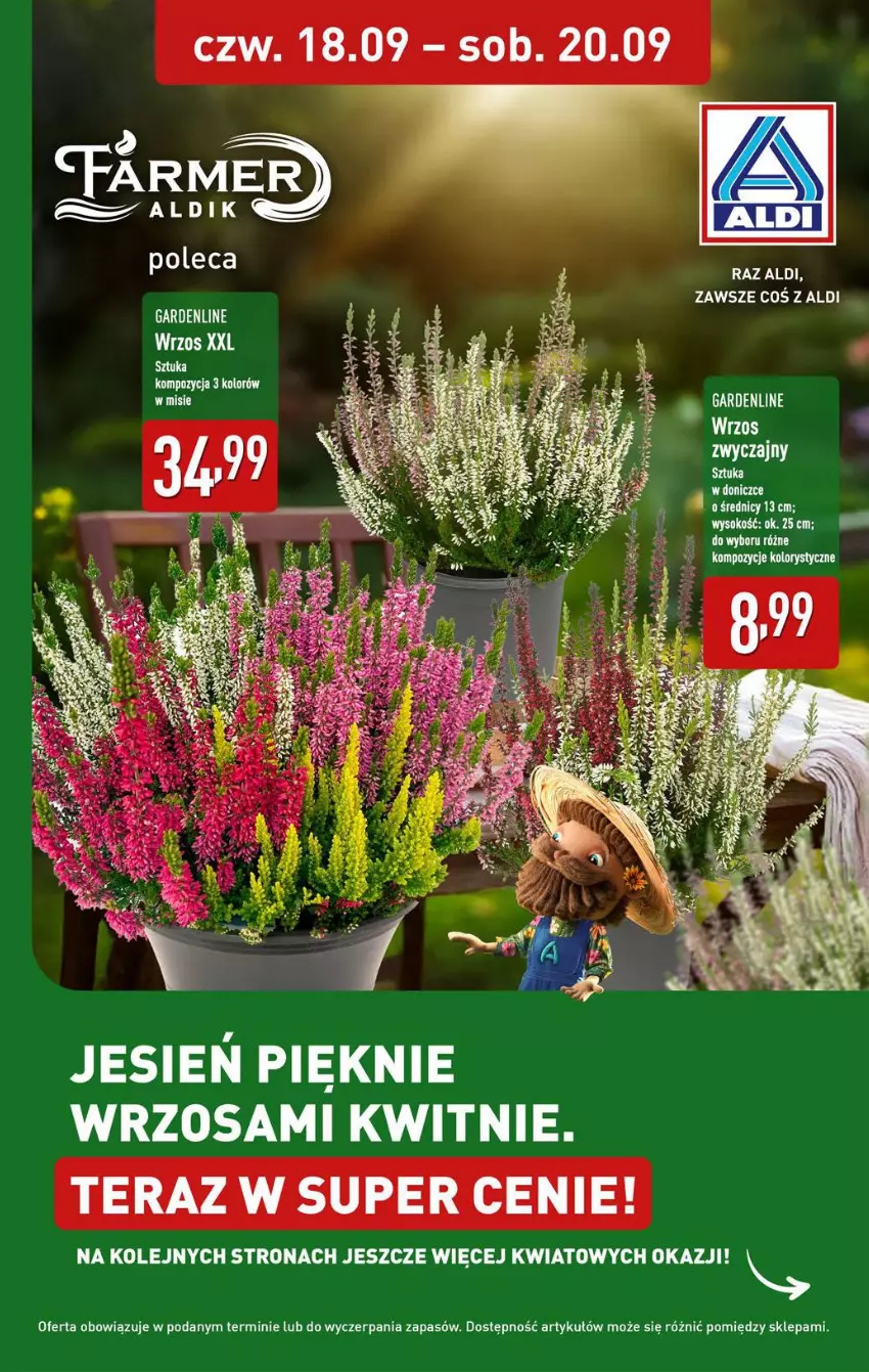 Gazetka promocyjna Aldi - Pełna oferta - ważna 15.09 do 20.09.2025 - strona 33 - produkty: Odol, Olej, Sok, Tera