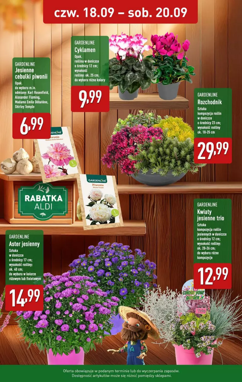 Gazetka promocyjna Aldi - Pełna oferta - ważna 15.09 do 20.09.2025 - strona 35 - produkty: Cyklamen, Piwo, Sok