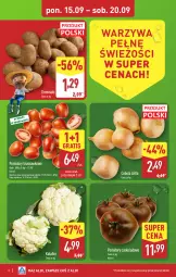 Gazetka promocyjna Aldi - Pełna oferta - Gazetka - ważna od 20.09 do 20.09.2025 - strona 2 - produkty: Cebula, Kalafior, Warzywa, Gra, Ziemniaki, Pomidory