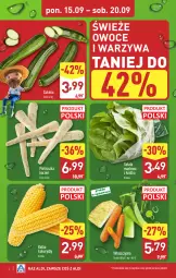 Gazetka promocyjna Aldi - Pełna oferta - Gazetka - ważna od 20.09 do 20.09.2025 - strona 4 - produkty: Warzywa, Sałata masłowa, Pietruszka, Sałat, Owoce, Masło