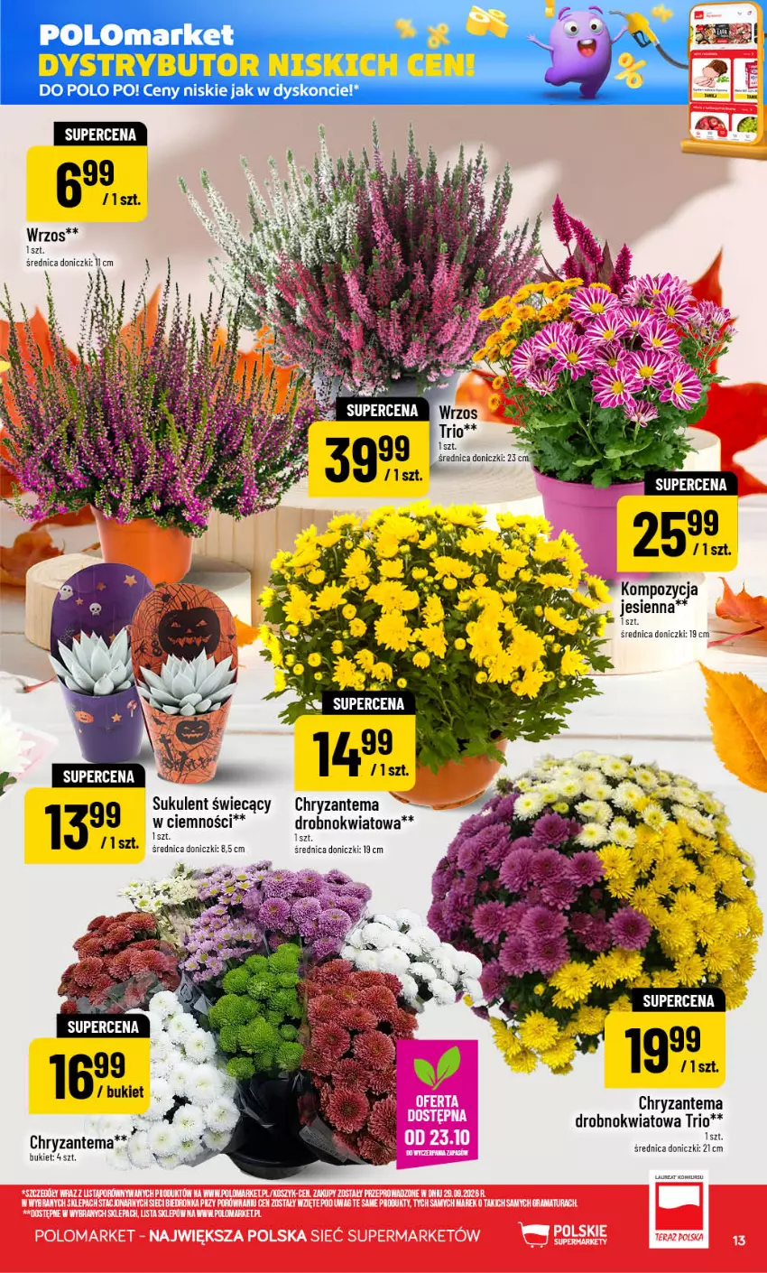 Gazetka promocyjna PoloMarket - Gazetka POLOmarket - ważna 21.10 do 27.10.2026 - strona 13 - produkty: Bukiet, Chryzantema, Fa, Laur, Sukulent