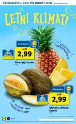 Gazetka promocyjna Lidl - GAZETKA - Gazetka - ważna od 10.07 do 10.07.2021 - strona 12 - produkty: Ananas, Melon