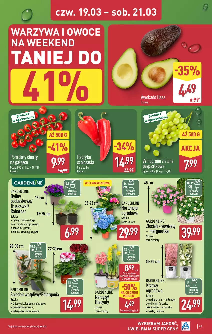 Gazetka promocyjna Aldi - Pełna oferta - ważna 16.03 do 21.03.2026 - strona 41 - produkty: Cień, Dereń, Hiacynt, Narcyz, Owoce, Papryka, Pomidory, Por, Stek, Szpic, Truskawki, Warzywa, Warzywa i owoce, Wino, Winogrona