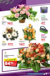 Gazetka promocyjna Makro - Najlepsze oferty - Gazetka - ważna od 17.10 do 17.10.2022 - strona 23 - produkty: Szczotka, Bukiet