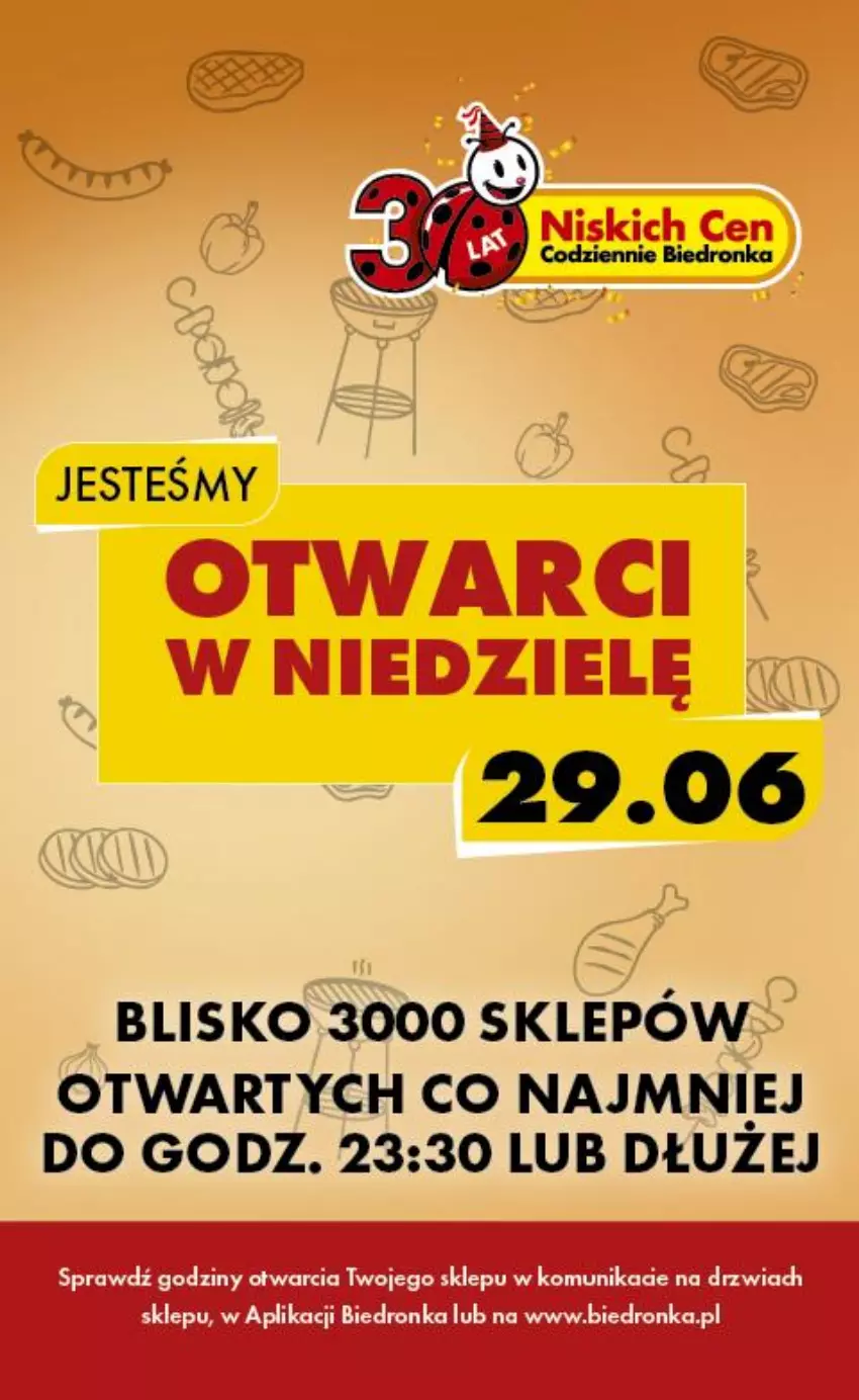 Gazetka promocyjna Biedronka - Tani Weekend - ważna 27.06 do 28.06.2025 - strona 3 - produkty: Drzwi