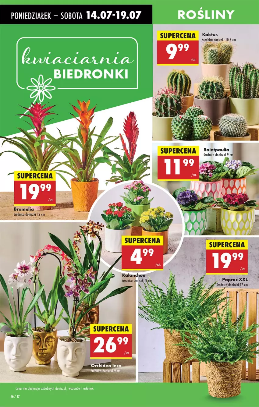 Gazetka promocyjna Biedronka - Od Poniedziałku - ważna 14.07 do 19.07.2025 - strona 18 - produkty: Kaktus, Kalanchoe
