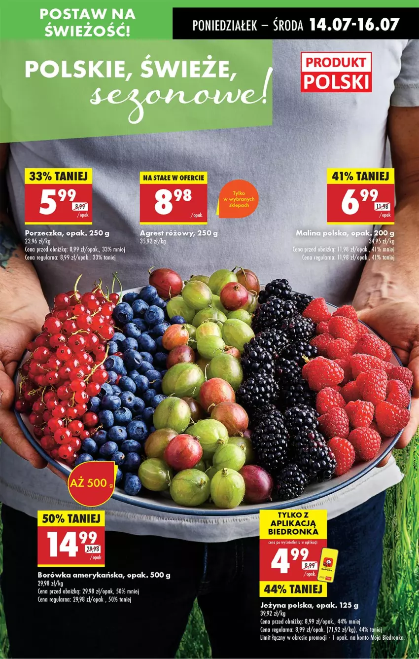 Gazetka promocyjna Biedronka - Od Poniedziałku - ważna 14.07 do 19.07.2025 - strona 19 - produkty: Borówka, Borówka amerykańska, LG