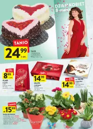 Gazetka promocyjna Intermarche - Spożywcza - Gazetka - ważna od 09.02 do 09.02.2022 - strona 6 - produkty: Hiacynt, Gerber, Prymula, Róża, Kalanchoe, Lindt