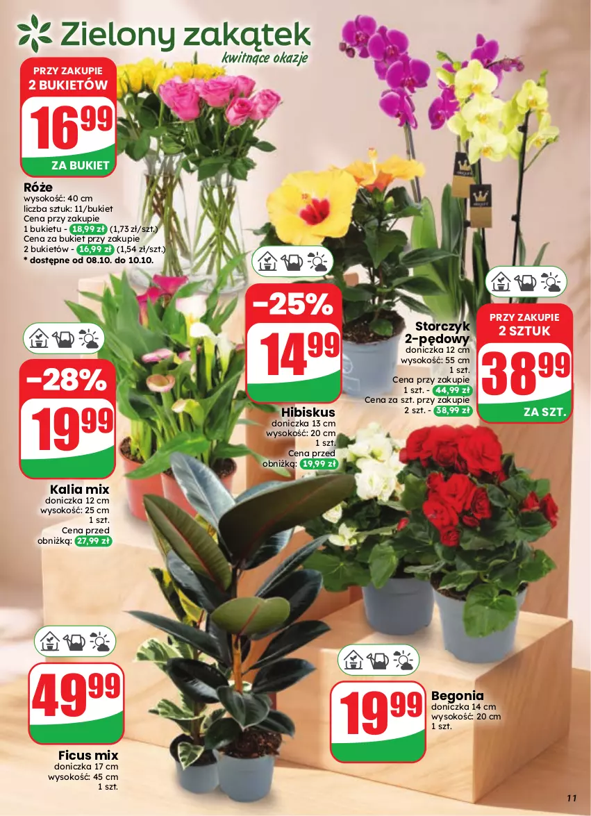 Gazetka promocyjna Dino - Gazetka 41 / 2026 - ważna 07.10 do 13.10.2026 - strona 11 - produkty: Bukiet, Hibiskus, Sok, Storczyk