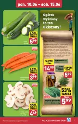 Gazetka promocyjna Aldi - Farmer ALDIK poleca świeże owoce i warzywa - Gazetka - ważna od 15.06 do 15.06.2024 - strona 3 - produkty: Piec, JBL, Ogórek, Pieczarki krojone, Grunt