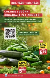 Gazetka promocyjna Aldi - Farmer ALDIK poleca świeże owoce i warzywa - Gazetka - ważna od 15.06 do 15.06.2024 - strona 4 - produkty: Grunt