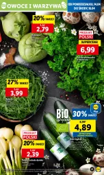 Gazetka promocyjna Lidl - GAZETKA - Gazetka - ważna od 16.04 do 16.04.2025 - strona 23 - produkty: Cebula, Warzywa, Pietruszka, Rukola, Owoce