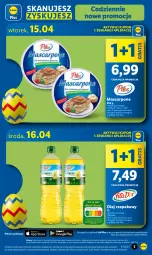 Gazetka promocyjna Lidl - GAZETKA - Gazetka - ważna od 16.04 do 16.04.2025 - strona 5 - produkty: Gra, Mascarpone, Wazon, Olej rzepakowy, Olej