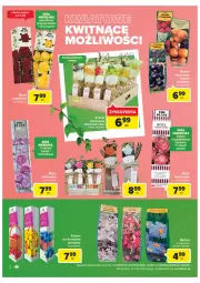 Gazetka promocyjna Carrefour - Gazetka Ogród - Wiwat! Ekoaktywiści - Gazetka - ważna od 12.03 do 12.03.2022 - strona 2 - produkty: Róża