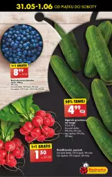 Gazetka promocyjna Biedronka - Od czwartku - Gazetka - ważna od 12.06 do 12.06.2024 - strona 19 - produkty: Por, Borówka, Ogórek, Grunt