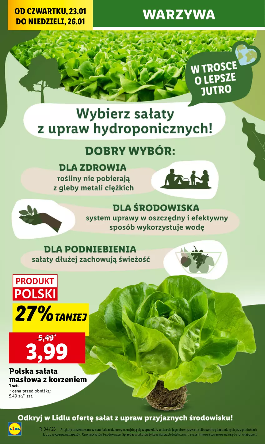 Gazetka promocyjna Lidl - GAZETKA - ważna 23.01 do 26.01.2025 - strona 18 - produkty: Masło, Sałat, Sałata masłowa, Warzywa