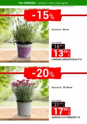 Gazetka promocyjna Merkury Market - Urządź z nami swój ogród - Gazetka - ważna od 30.04 do 30.04.2025 - strona 4 - produkty: Sok, Ogród