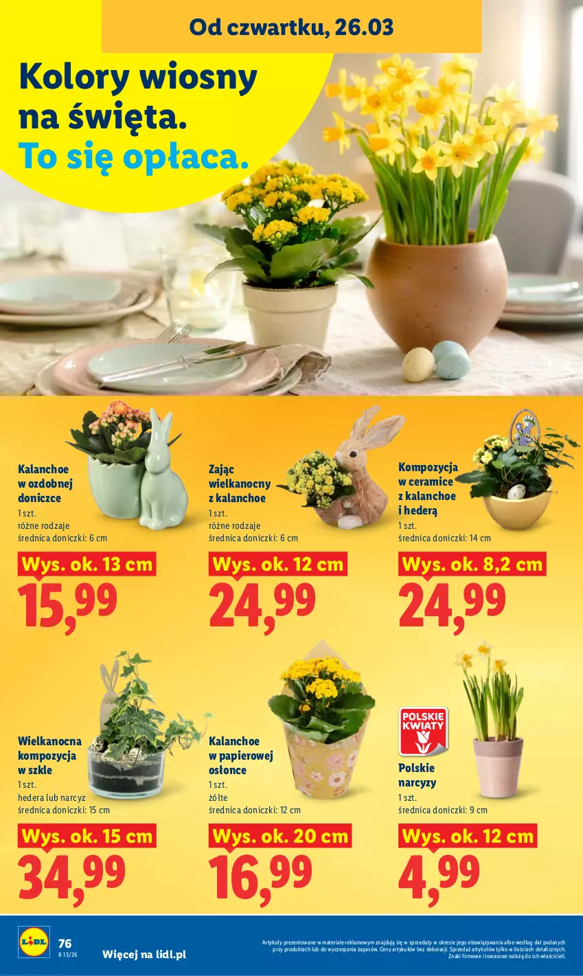 Gazetka promocyjna Lidl - Gazetka ważna od 26.03 do 29.03 - ważna 26.03 do 29.03.2026 - strona 76 - produkty: Kalanchoe, Narcyz, Papier