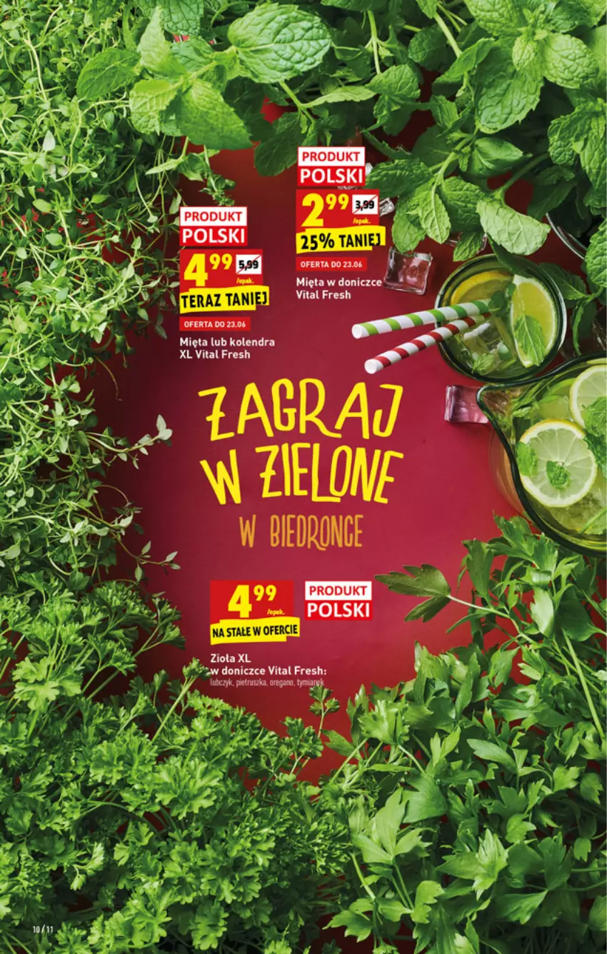 Gazetka promocyjna Biedronka - W tym tygodniu - ważna 21.06 do 27.06.2021 - strona 10 - produkty: Fa, Mięta