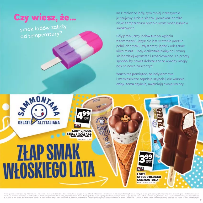 Gazetka promocyjna Stokrotka - Katalog Łap Okazje - ważna 10.07 do 23.07.2025 - strona 17 - produkty: Koc, Lody, Mięso, Mięta, Owoce, Top, Warzywa