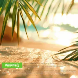 Gazetka promocyjna Stokrotka - Katalog Łap Okazje - Gazetka - ważna od 23.07 do 23.07.2025 - strona 40 - produkty: Warzywa, Owoce, Mięso, Fa