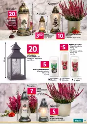 Gazetka promocyjna Dealz - NOWA GAZETKAWielkie Oszczędzanie z Dealz! - Gazetka - ważna od 01.11 do 01.11.2022 - strona 13 - produkty: Papier, Finish, Tablet, Proszek do prania, Chupa Chups, Papier toaletowy, Płyn do płukania, Znicz, Bateria, Latarenka, Zmywarki, Olej, Tabletki do zmywarki, Wkład olejowy