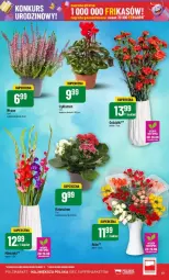 Gazetka promocyjna PoloMarket - Gazetka - ważna od 01.10 do 01.10.2024 - strona 47 - produkty: Cyklamen, Bukiet