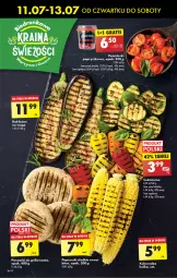 Gazetka promocyjna Biedronka - Od czwartku - Gazetka - ważna od 17.07 do 17.07.2024 - strona 22 - produkty: Piec, Grill, Kukurydza