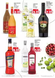 Gazetka promocyjna Kaufland - Barek Kauflandu - Gazetka - ważna od 06.08 do 06.08.2025 - strona 7 - produkty: Biały Bocian, Gin, Napój, Likier, Aperol
