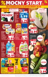 Gazetka promocyjna Kaufland - OFERTA TYGODNIA - Gazetka - ważna od 24.08 do 24.08.2022 - strona 50 - produkty: Kurczak, Jonagold, Ser, Do mycia naczyń, Danone, Płyn do mycia naczyń, Serek homogenizowany, Melvit, Płatki owsiane, Serek, Silan, Płyn do płukania, Fairy, Danio, Płyn do mycia, Grunt, Masło, Jabłka, Fa