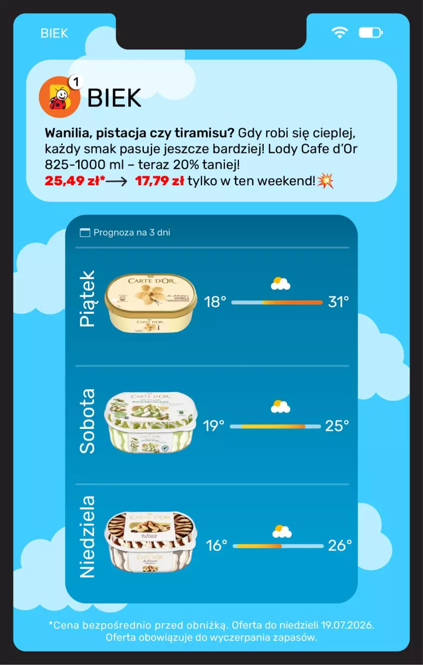 Gazetka promocyjna Biedronka - BIEK - ważna 17.07 do 24.07.2026 - strona 14 - produkty: Lody, Tera