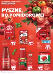 Gazetka promocyjna Kaufland - Gazetka tygodnia - Gazetka - ważna od 20.05 do 20.05.2026 - strona 42 - produkty: Dawtona, Pulpa pomidorowa, Pudliszki, Pomidory