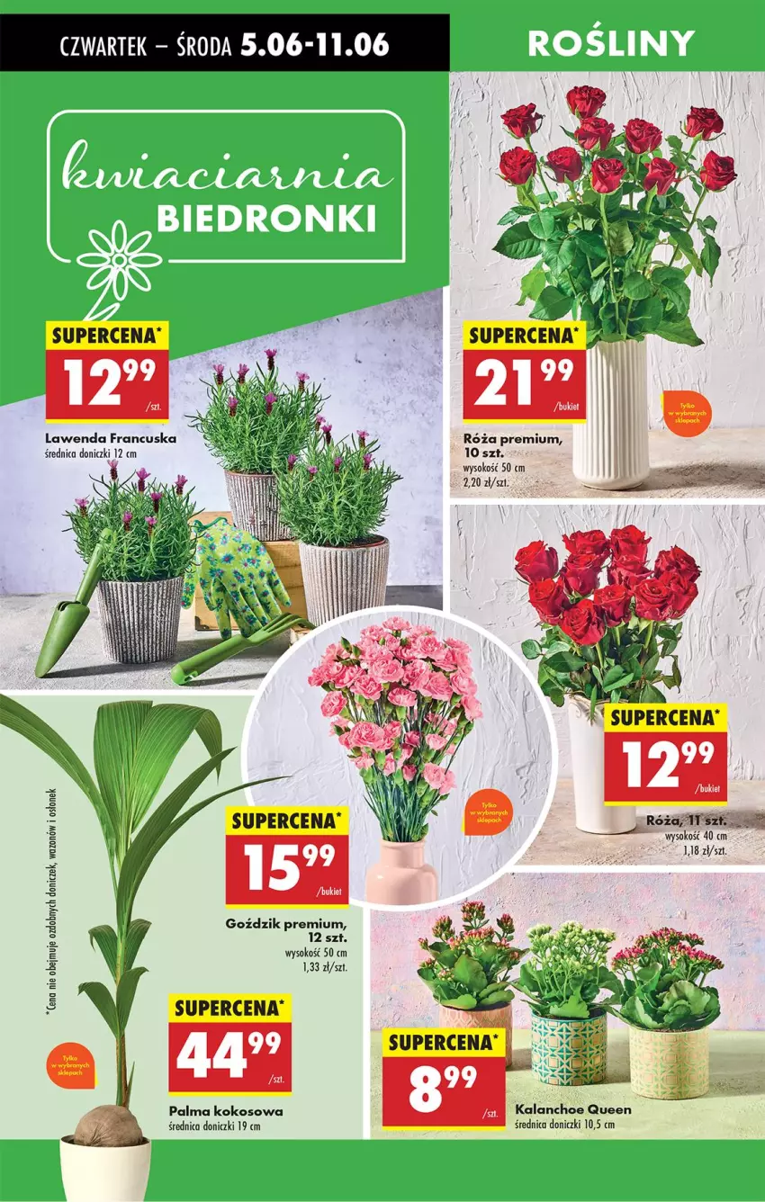 Gazetka promocyjna Biedronka - Od Czwartku - ważna 05.06 do 11.06.2025 - strona 65 - produkty: Bukiet, Kalanchoe, Kokos, Palma, Róża, Sok