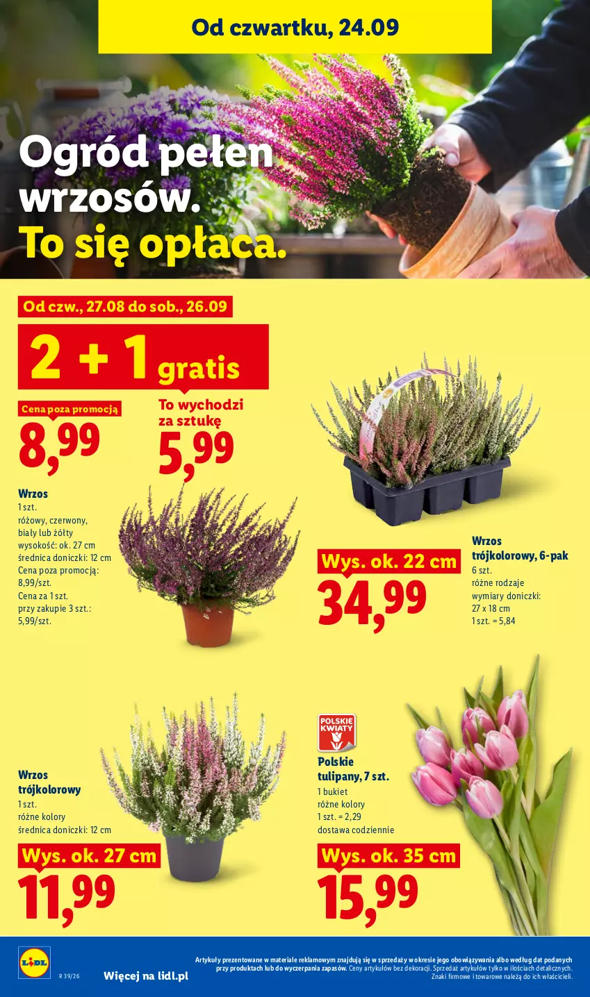 Gazetka promocyjna Lidl - Gazetka ważna od 24.09 do 26.09 - ważna 24.09 do 26.09.2026 - strona 100 - produkty: Bukiet, Gra, Ogród, Sok, Tulipan