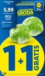 Gazetka promocyjna Lidl - GAZETKA - Gazetka - ważna od 12.02 do 12.02.2025 - strona 10 - produkty: Gra, Sałata lodowa, Sałat